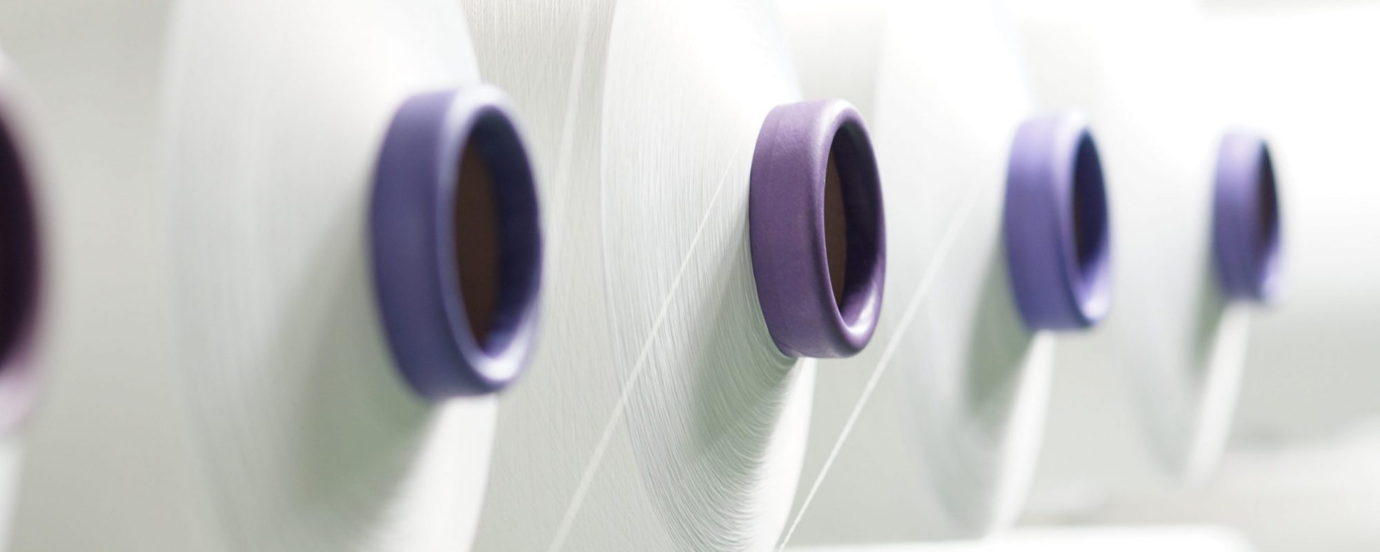 pixabay-polyester-3748562